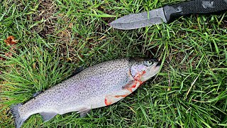 Ribolov Pastrmke na Bari sa CRVOM (Dvije velike Pastrmke), Trout fishing on the Lake with a Worm