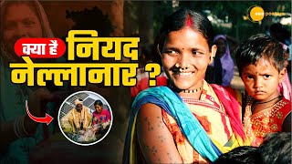 कैसे Niyad Nellanar Scheme खत्म कर रहा Bastar में Naxal का खौफ? | See Positive | Chhattisgarh Govt