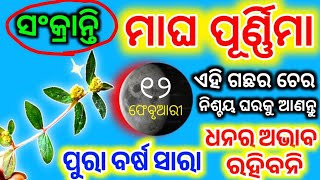 ୧୨ ଫେବୃୟାରୀ ମାଘ ପୂର୍ଣ୍ଣିମା ଦିନ ଏହି ୧ ଗଛର ଚେର ଘରକୁ ଆଣନ୍ତୁ ସବୁ ଦୁଃଖ ଦୂର ହେବ | Magha Purnima 2025 odia