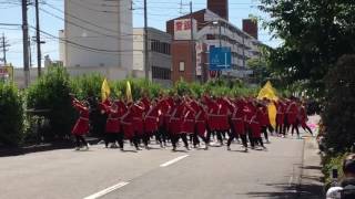 第14回犬山踊芸祭 6月4日 名古屋学生チーム『鯱』