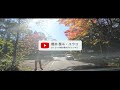 【車載動画 4k】2024年11月最新！紅葉ピークの軽井沢はどんな感じ？｜ 信州観光ドライブトーク