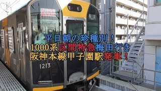 平日朝の珍種別！1000系区間特急梅田行き 阪神本線甲子園駅発車！