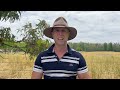 rob szabo intro looking for land in the kiewa valley