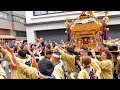 ⛩️👘令和6年　鳥越神社例大祭　三筋北　町会神輿渡御