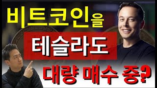 [미트볼] 테슬라의 최근 비트코인 매수 현황과 2030년 비트코인의 예상 가격! 테슬라 Wallet에 비트코인이 무려 이렇게나 많이 저장되어 있다?