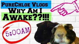 PureChloe Vlogs | Why Am I Awake??!!!