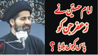 Imam Hussain (as) Ne Zafar e Jin Ko Pas Q Bolaya ? | Maulana Arif Hussain Kazmi