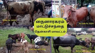 Nainaragaram Cow Market || Idaikal || Saturday Market || Tenkasi district