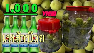 เหล้าบ๊วย แบบง่าย มีสูตรให้ สำหรับคนชอบหวาน EarthEasy  | Ep3