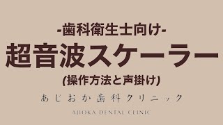 【DH】スケーリング　–歯科衛生士向け–