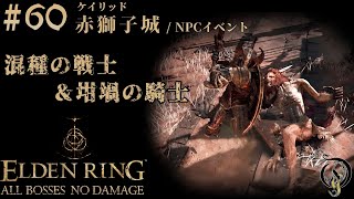 【エルデンリング】#60 NPCイベント＆赤獅子城 BOSS 混種の戦士＆坩堝の騎士/ELDEN RING・Crucible Knight（NO DAMAGE）