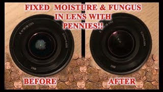 Fixing Moisture and Fungus Inside Camera Lens with Pennies