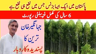 Trees Farming Documentary | Sufaida Farming in Pakistan