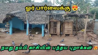 நமது தம்பி காசியின் பந்தய புறாக்கள் ஓர் பார்வைக்கு 😍புறா வளர்ப்பு 😍 | PURA PIRIYAN VLOG |