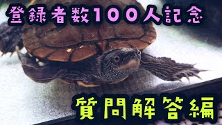 【チャンネル登録者】皆さまの質問に答えてみた【100人記念】