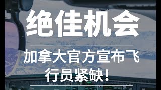 绝佳机会来了，加拿大官方宣布飞行员紧缺！