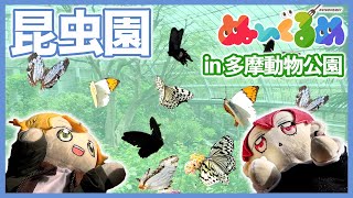 多摩動物公園でたくさんのちょうちょに出会う！昆虫園／昆虫ユートピア【Tama Zoological Park】