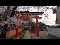 🌸竹中稲荷神社⛩