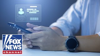 'IT'S QUITE TERRIFYING': Journalist sounds alarm over push for digital IDs