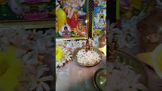 5 Jan 2025 Om Namah Shivaya 🕉️ Om Ganapati 🕉️ Daily Pooja with Parijata flowers🌸#trendingshorts #yt