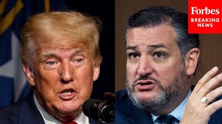 "Trump Drove Senate Democrats Crazy" Ted Cruz Rails Against Partisanship As 3 Of His Amendments Fail