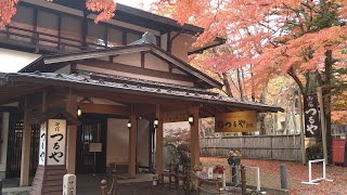 軽井沢ノーカットウォーク　軽井沢つるや旅館～旧軽井沢銀座商店街～雲場池～ＪＲ軽井沢駅　秋散歩（長野県北佐久郡軽井沢）