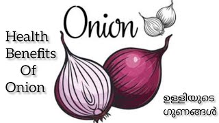 ഉള്ളിയുടെ ആരോഗ്യ ഗുണങ്ങൾ / Health Benefits of Onion / Shallot Onion