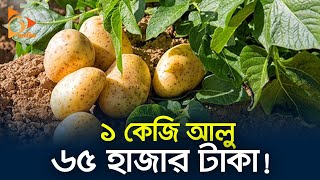 ১ কেজি আলু ৬৫ হাজার টাকা | Potato | Nagorik TV