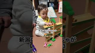 実家はおもちゃがいっぱい【生後9ヶ月】　#赤ちゃん #baby #生後9ヶ月 #帰省