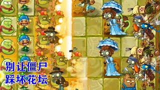 植物大战僵尸2国际版：一阶闯失落24 25天，别让僵尸踩坏花坛！