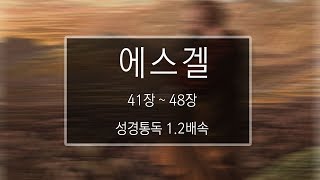 성경 읽기: 에스겔 41장 - 48장