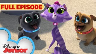 Lunar New Year Full Episode! | S4 E6 Part 1 | Puppy Dog Pals | New Year, New Bob | @disneyjr