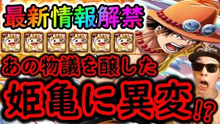 [トレクル]最新情報解禁「海賊王への軌跡の「姫亀」に異変か? 海賊祭GPでいよいよ斬撃に暗雲か...? ジンベエスゴフェスについて」[OPTC]