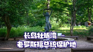 长岛牡蛎湾 - 老罗斯福总统保护地