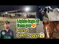 Horse dekhne gaya aur lights ka kaam pora hogaya❤️| Fakhre e Noori😍