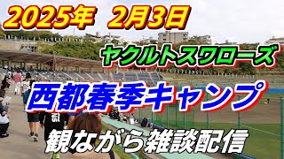 ヤクルトスワローズ 西都春季キャンプ2025 見ながら雑談配信