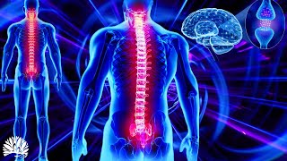 528hz Super Recovery  Healing Frequency, Whole Body Regeneration,Cell, Nerve Damage Repair  Healing