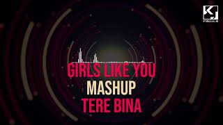 Girl Like You X Tere Bina Mashup