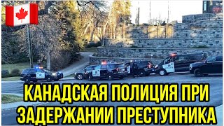 #172. КАНАДСКАЯ ПОЛИЦИЯ ПРИ ЗАДЕРЖАНИИ ПРЕСТУПНИКА. Видео с места события. Калгари,Канада