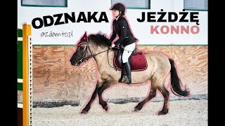 Odznaka Jeżdżę konno🐴🏅| Wszystko co musisz o niej wiedzieć! | zdamto.pl