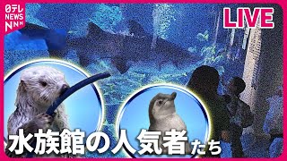 【水族館の人気者まとめ】食いしん坊「ラッコ」“大好物”と間違え“自分の足”をガブリ/特技は“鼻ブレーキ”　水槽越しの人間に興味津々のアザラシ　など（日テレニュース LIVE）