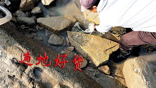 岸边底潮杂石坑，抽干后发现90公分长的深海怪物，还有遍地好货