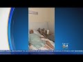 Video Shows Conditions Inside Hollywood Nursing Home Evening Before Residents Died