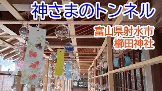 風鈴トンネルで涼を感じる 富山県射水市の櫛田神社で日本らしい夏を過ごすひと時【ASMR】  Cool with a wind chime