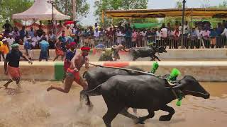 Kambala Naringana Ullala Mangalore 2023