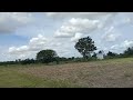 2 Acre 10 Guntas Multipurpose Land for Sale near NH. (8197434359).