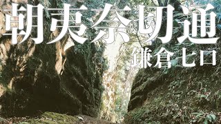 【おでかけ】朝夷奈切通～鎌倉を支える幹線道路～