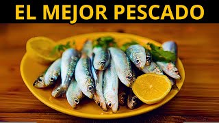 DEBES COMER más SARDINAS por ESTO - 7 Grandes beneficios