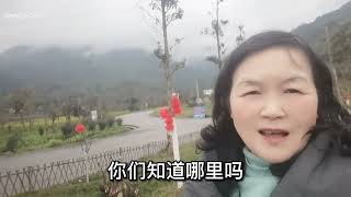 东北来四川乡镇养老的花姐，虽然喜欢这里的山山水水，却无法久住