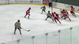 Bemidji State Women's Hockey Highlights vs No. 1 Wisconsin (Feb. 21, 2025)